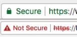 HTTPS vs HTTP flags