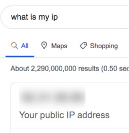 Google Whats My IP